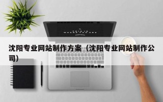 随县沈阳专业网站制作方案（沈阳专业网站制作公司）